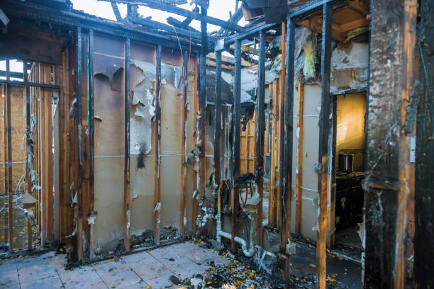 Professional Soot Cleanup technician working in Wartburg, TN